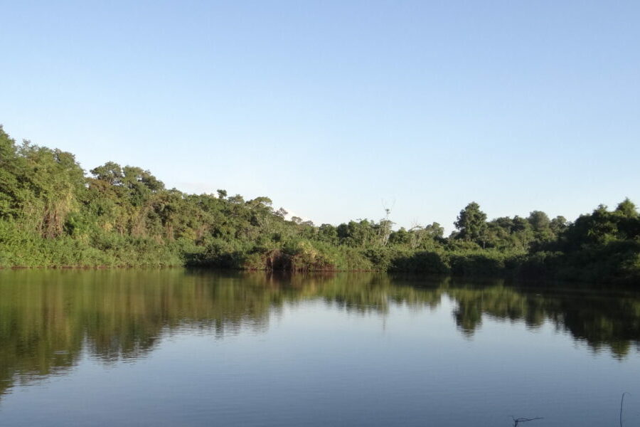 Meio Ambiente: detentores de outorgas devem atualizar dados