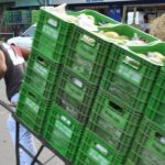 1ª Corrida de Carrinhos da Ceasa Goiás está com inscrições abertas