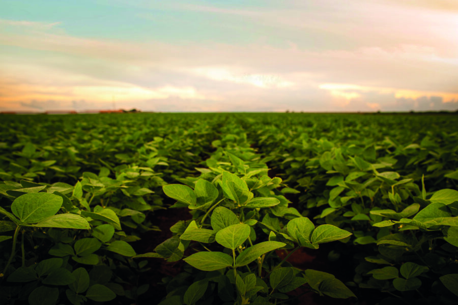 Goiás fortalece sustentabilidade no agro com políticas e inovação