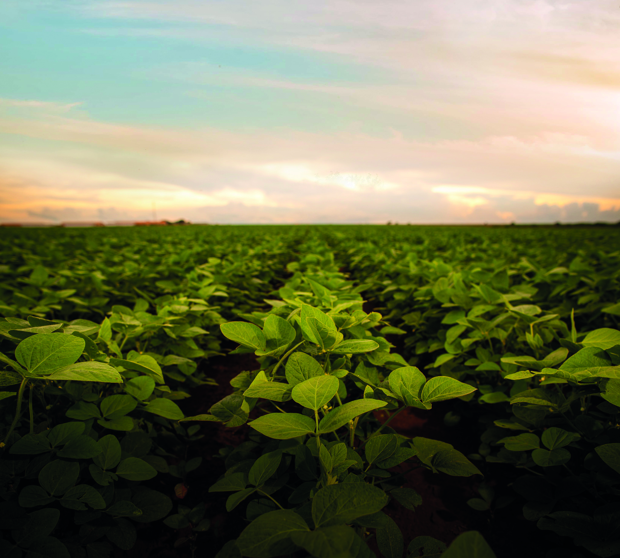 Goiás fortalece sustentabilidade no agro com políticas e inovação