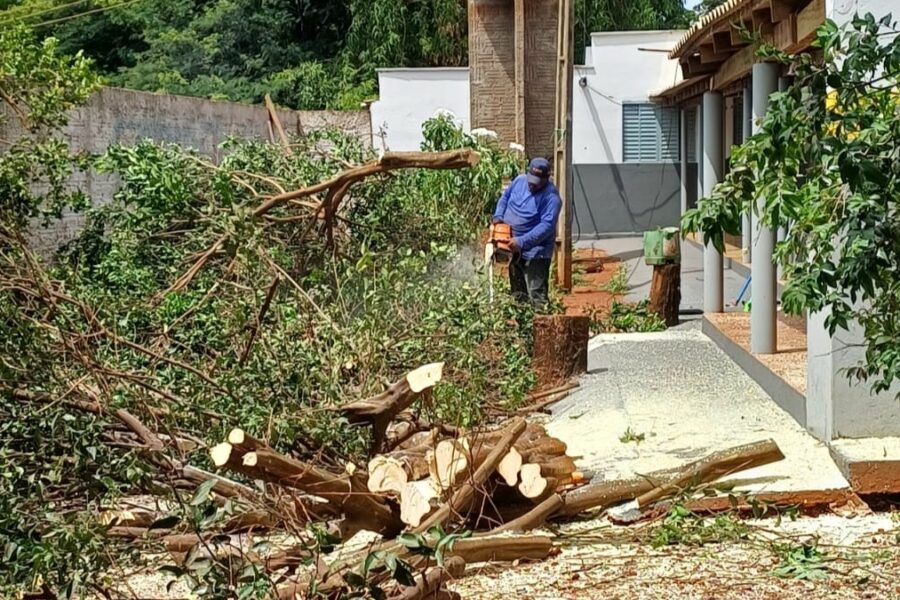 Agrodefesa intensifica ações contra o HLB na região de Aporé