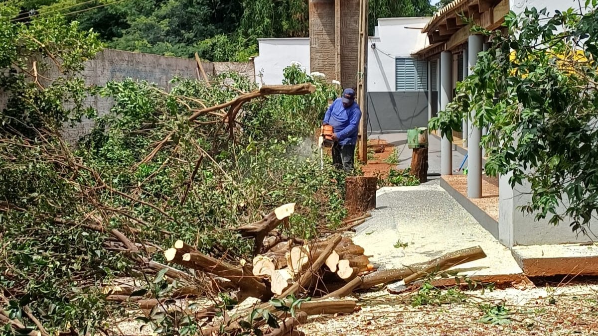 Agrodefesa intensifica ações contra o HLB na região de Aporé
