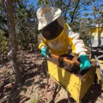 Estado tem novo edital para agroindústrias de pequeno porte