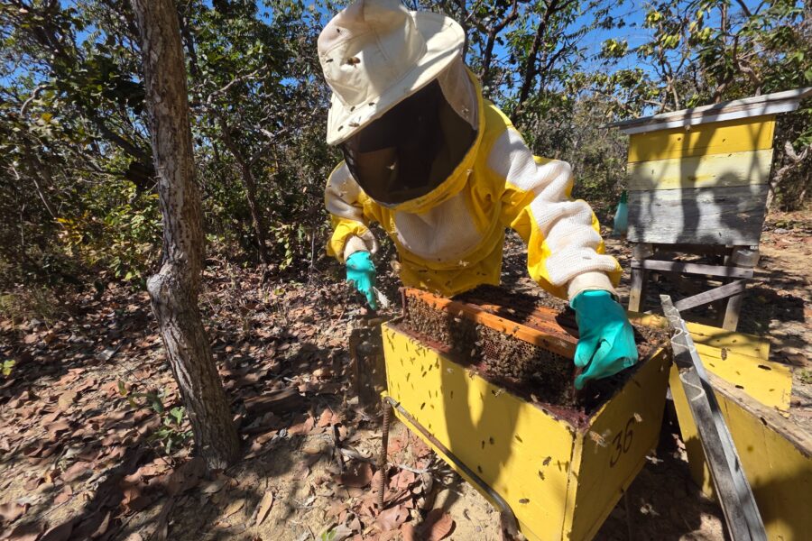 Estado tem novo edital para agroindústrias de pequeno porte
