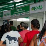 Defensoria Itinerante contabiliza mais de 14 mil atendimentos junto ao Goiás Social