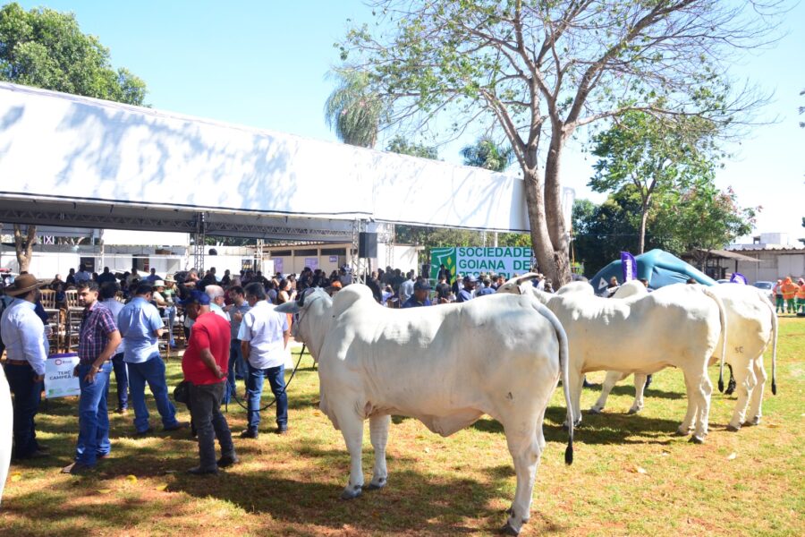 Agrodefesa abre cadastro de eventos agropecuários previstos para 2026
