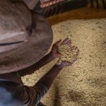 Goiás tem superávit de US$ 7,3 bi na balança comercial