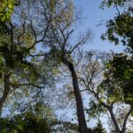 Programa quer ampliar participação social nas unidades de conservação