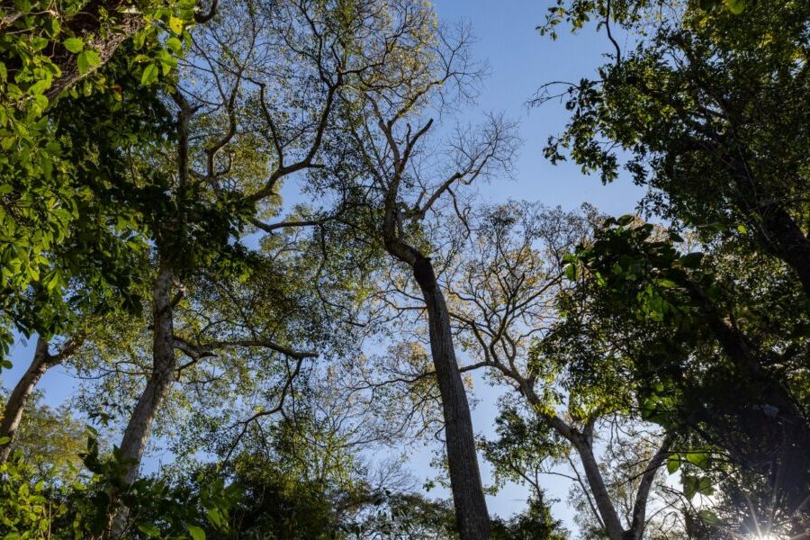 Programa quer ampliar participação social nas unidades de conservação