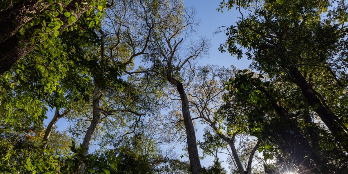 Programa quer ampliar participação social nas unidades de conservação