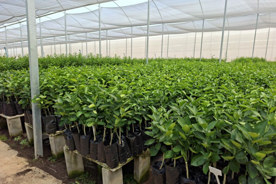 Estabelecimentos comerciais agropecuários devem se recadastrar no SIE