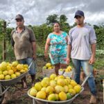 Goiás investe mais de R$ 80 milhões na agricultura familiar em 2025