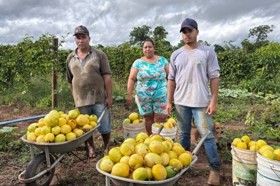 Goiás investe mais de R$ 80 milhões na agricultura familiar em 2025