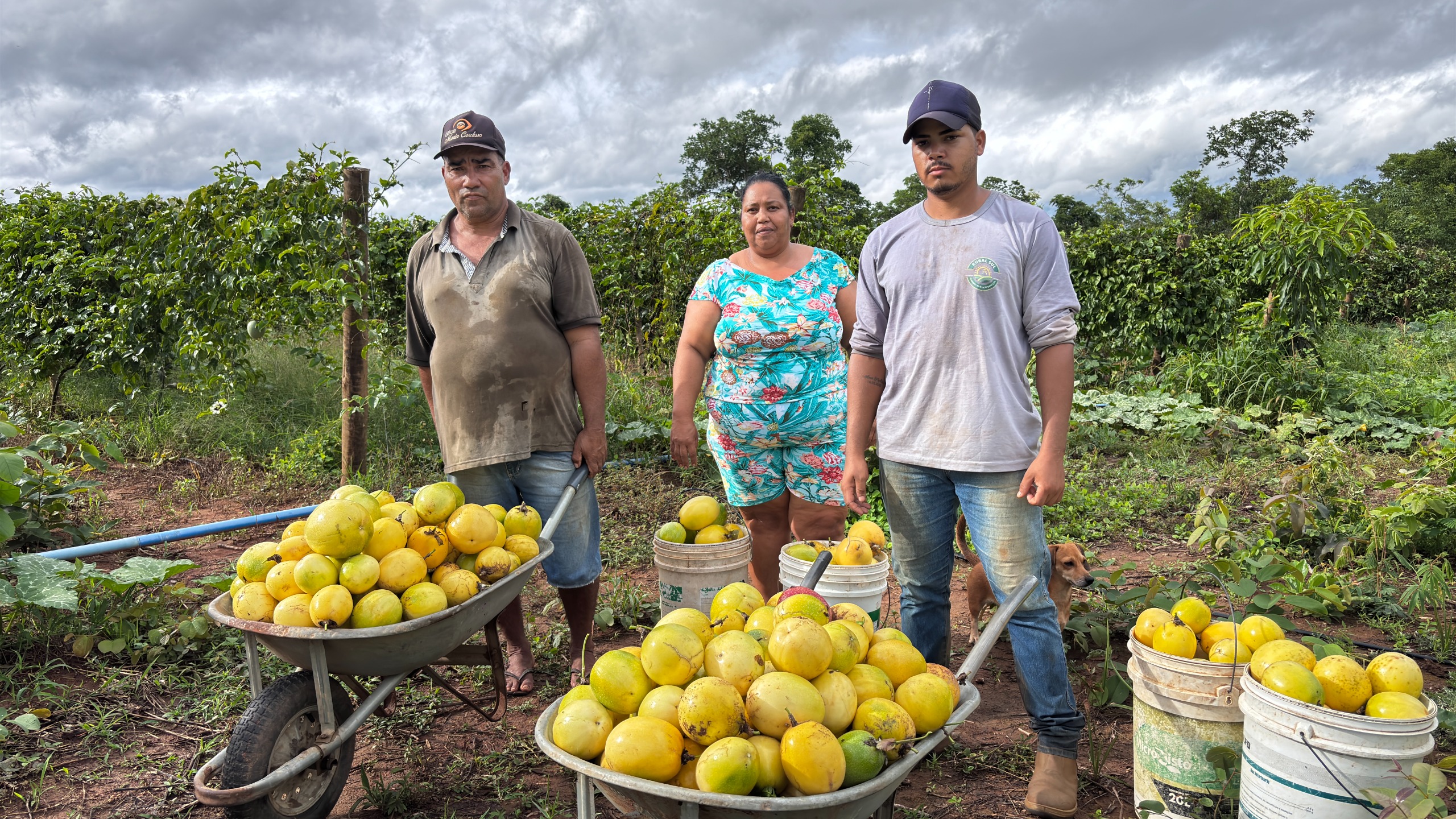 Goiás investe mais de R$ 80 milhões na agricultura familiar em 2025