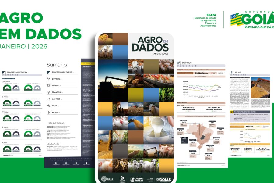 Governo divulga boletim com indicadores da agropecuária goiana em 2025