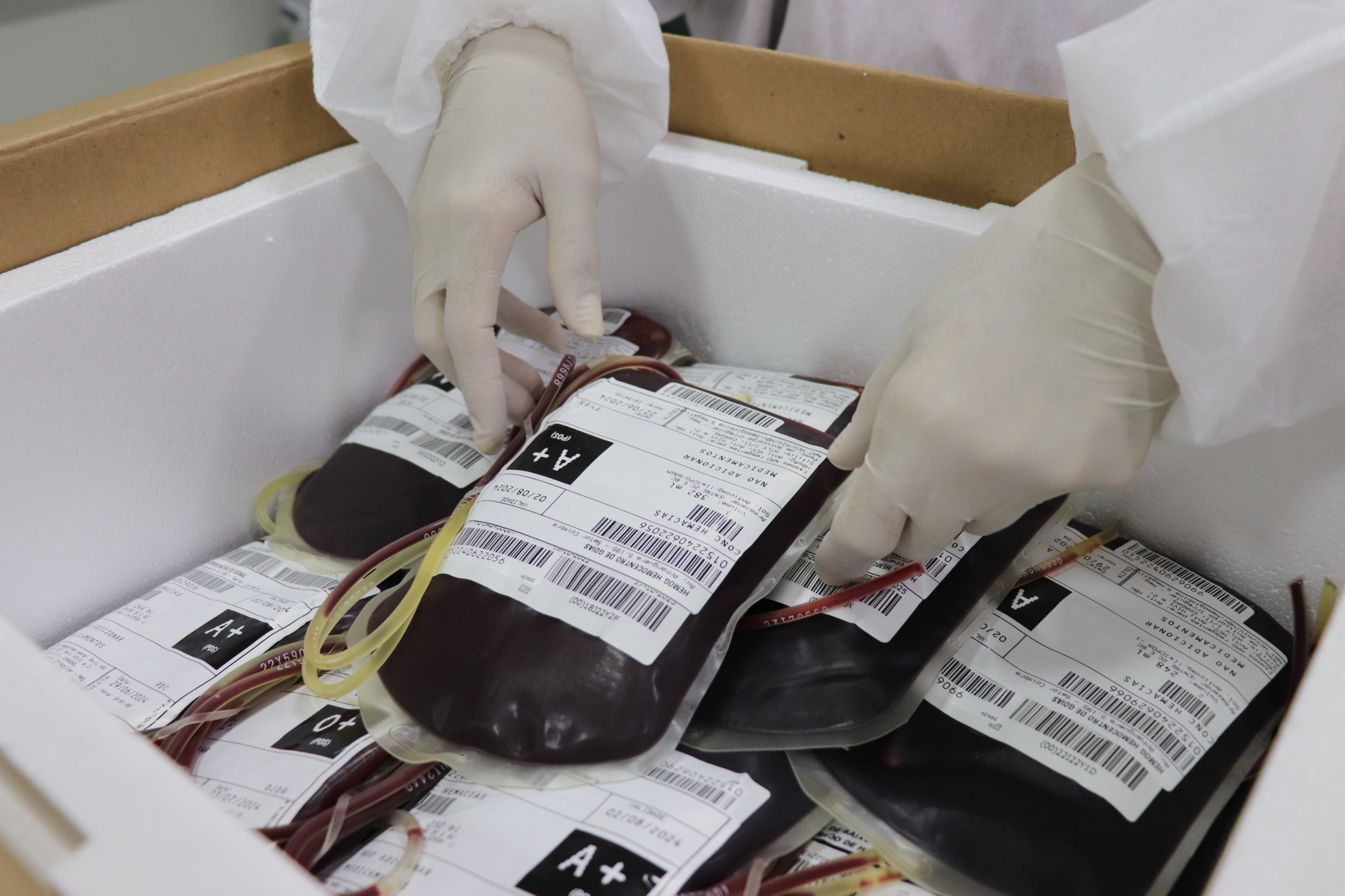 Rede Hemo alerta para estoques críticos e convoca população a doar sangue