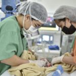 Goiás avança na oferta de cirurgias cardíacas para crianças