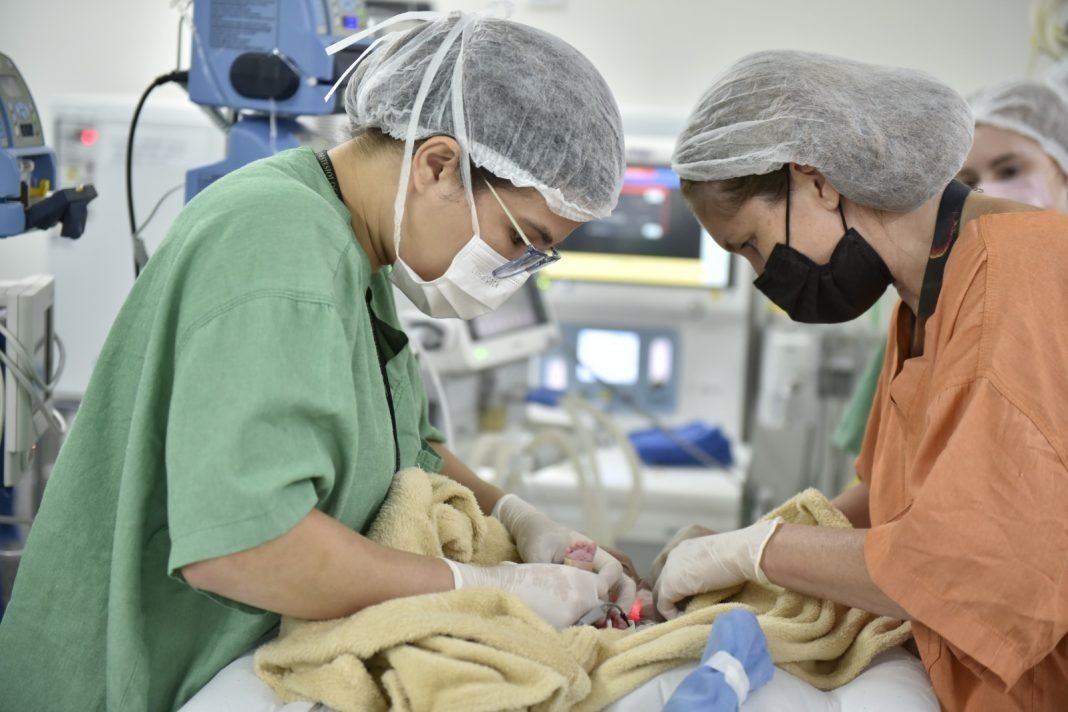 Goiás avança na oferta de cirurgias cardíacas para crianças