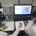 Fapeg informa sobre pagamento das bolsas de janeiro