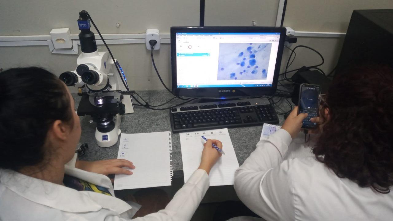 Fapeg informa sobre pagamento das bolsas de janeiro