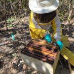 Último dia para cadastro em projeto de melhoria de agroindústrias do Governo de Goiás