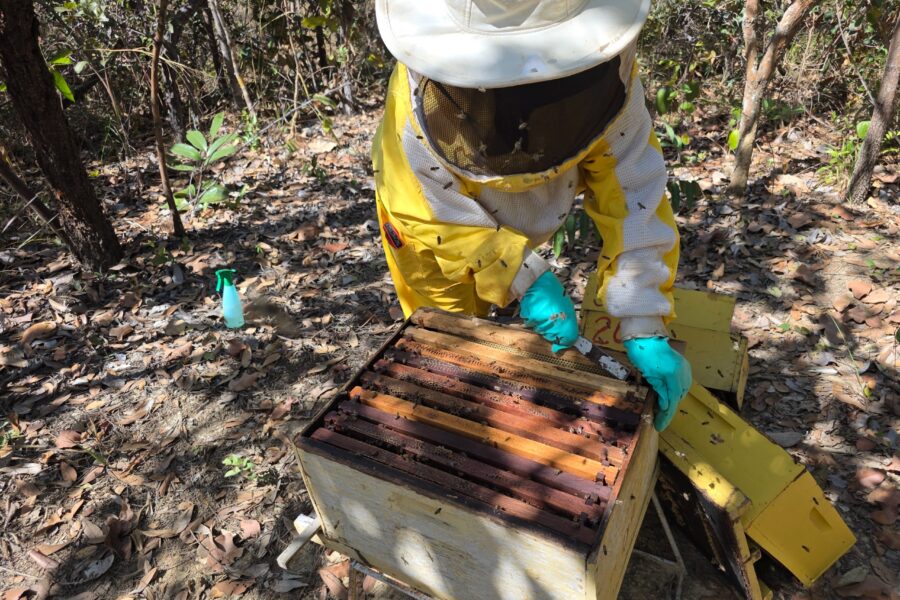 Último dia para cadastro em projeto de melhoria de agroindústrias do Governo de Goiás