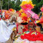 Lançado Folia Goiás 2026