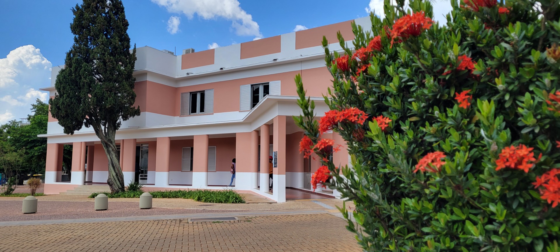 Secult prorroga divulgação do resultado de seleção de OSCs