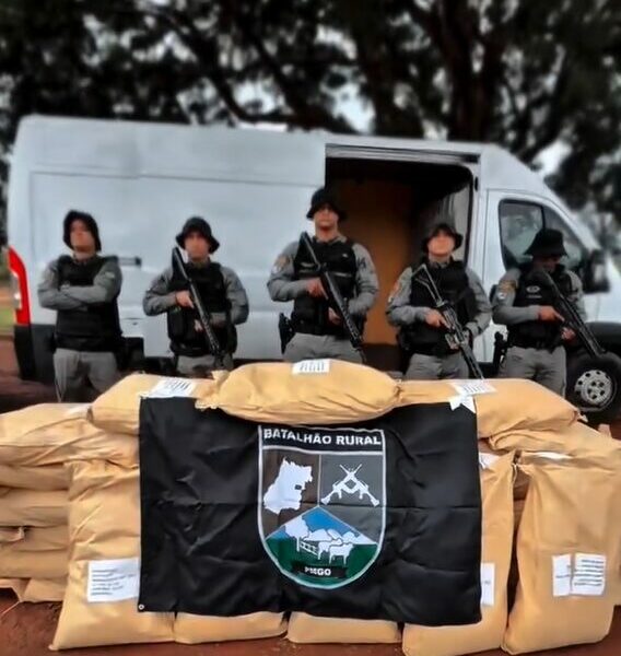 Polícias de GO e DF apreendem agrotóxicos contrabandeados da China