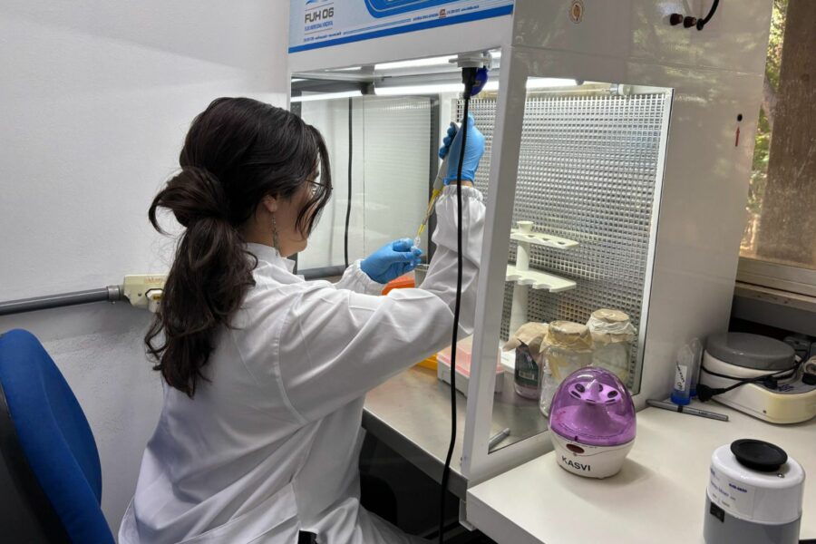 Fapeg alerta para prazo de inscrição a bolsas de excelência